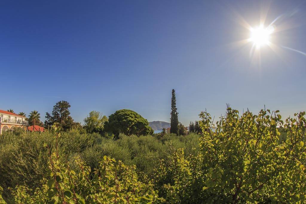 Olive Grove Apts Lithakia  Room photo