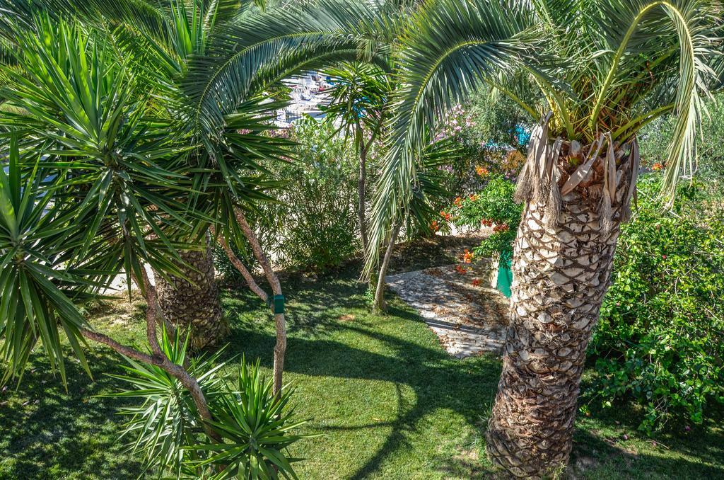 Olive Grove Apts Lithakia  Exterior photo